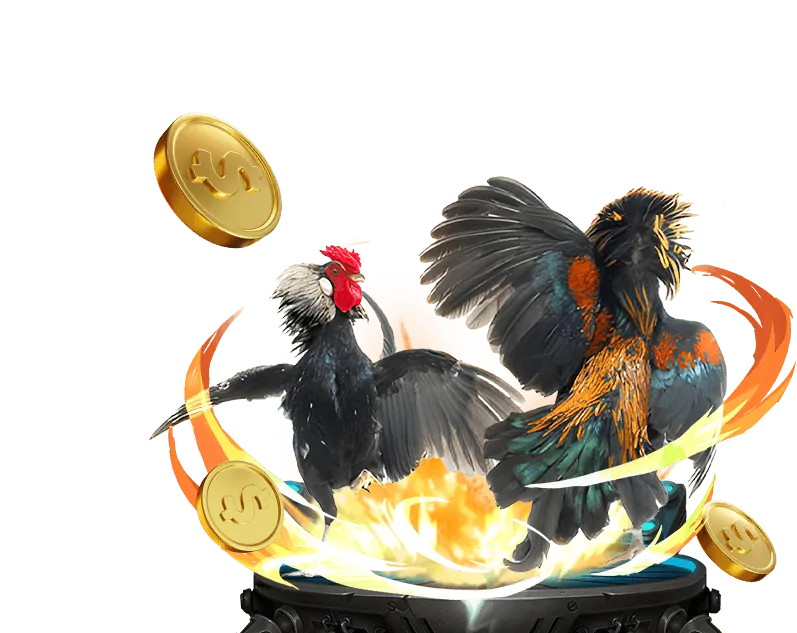 Quy tắc trò chơi công bằng tại 999ok chính thức